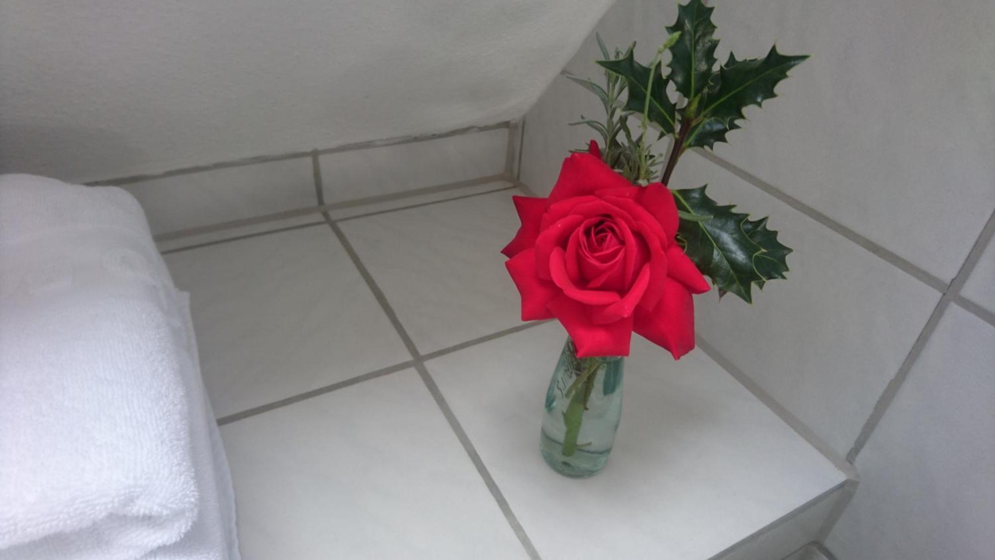 Appartement Michaela Bucher Mit Ladesaeule ฟรีดริชส์ฮาเฟน ภายนอก รูปภาพ